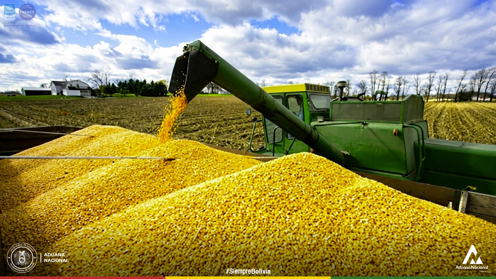 La Aduana ajusta mecanismos de arancel cero para la importación de grano de soya