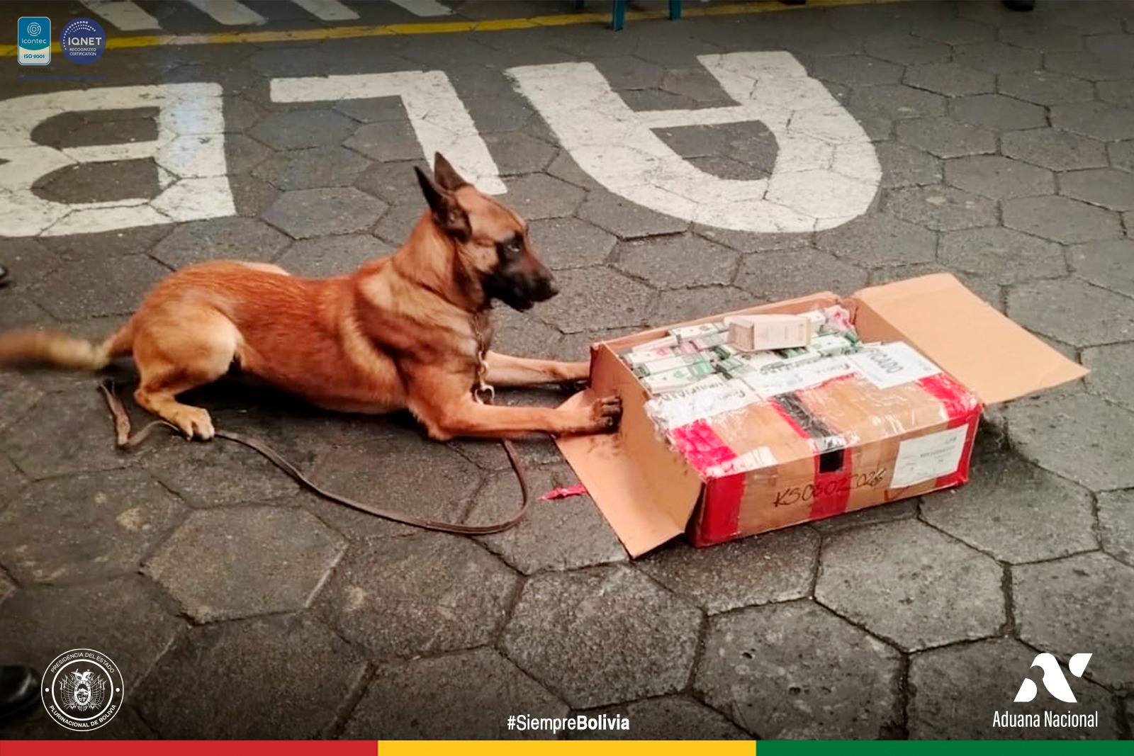 Aduana Nacional y FELCN evitan ingreso de vaporizadores con THC en Aeropuerto de El Alto