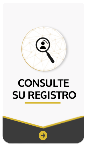 Consulta